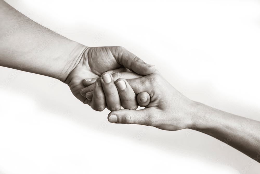 Ayuda ucrania con adresles